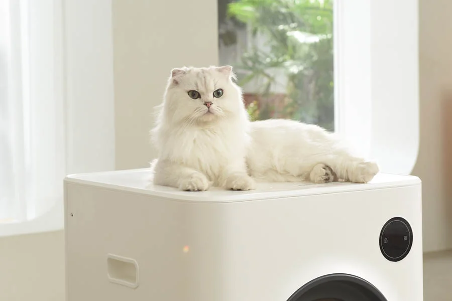 best auto kitty litter box