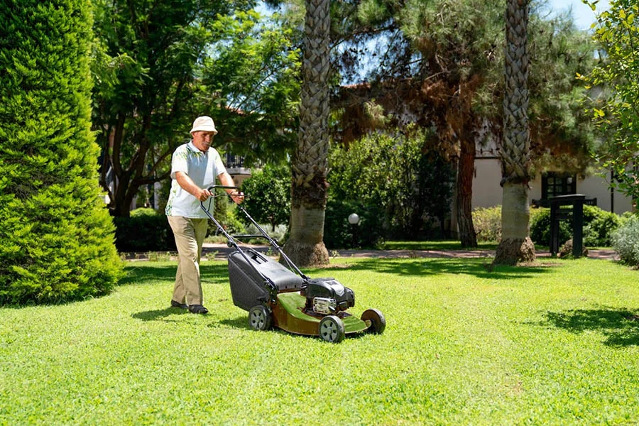 self-propelled lawnmower